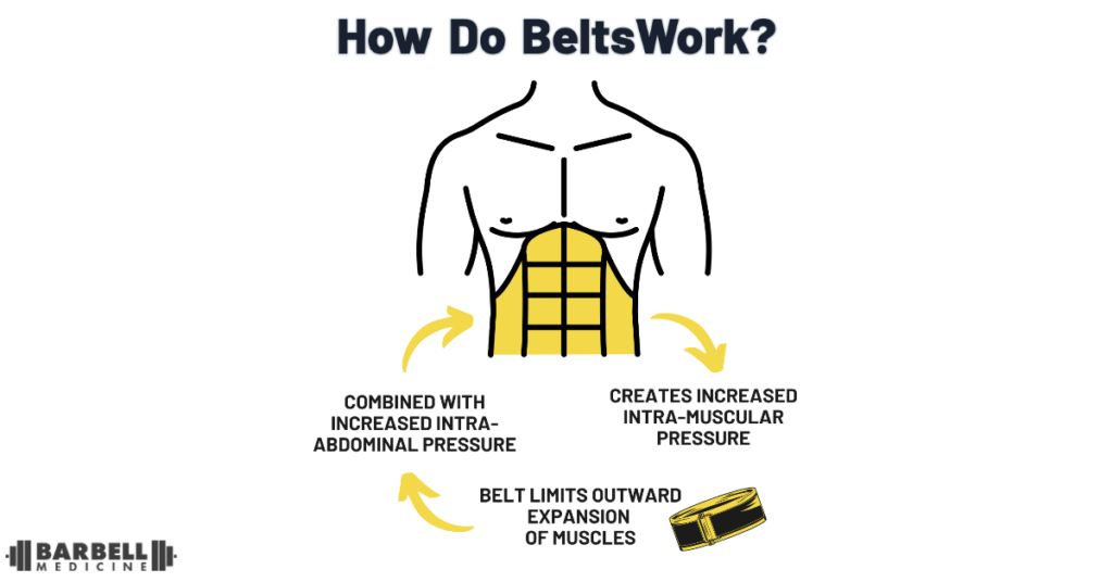Belt lift: barbell system positioned according to the Anatoly